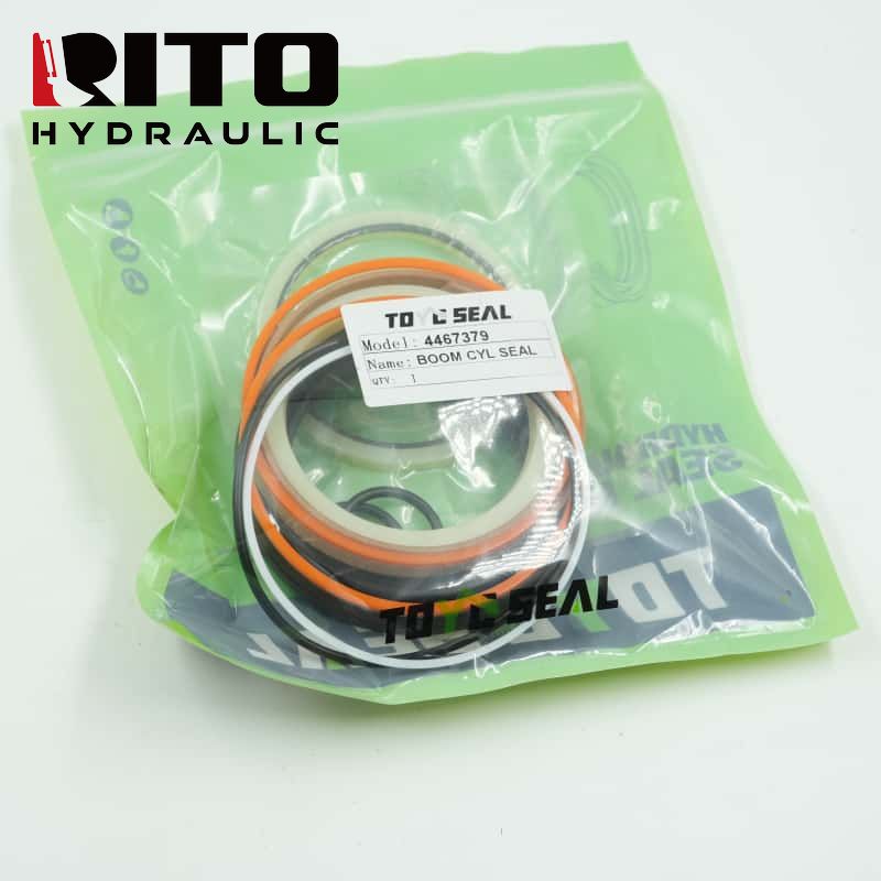4467379 Boom Cylinder Seal Kit 