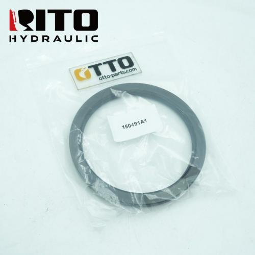 150491A1 bearing