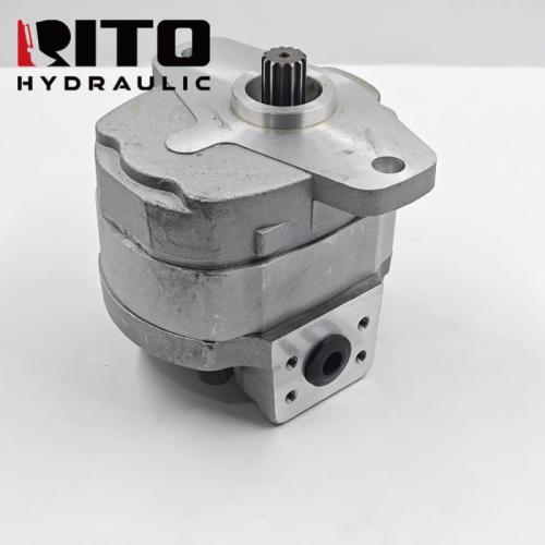 705-22-30150 Hydraulic Gear Pump